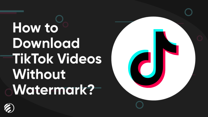 Cara download video tiktok tanpa watermark