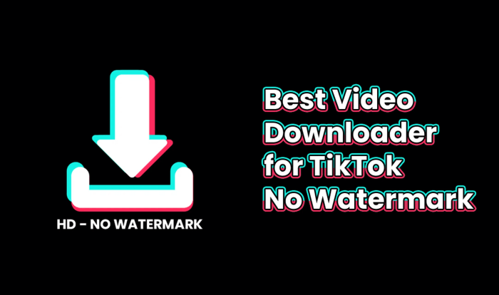 Snaptik -Download Video Tiktok