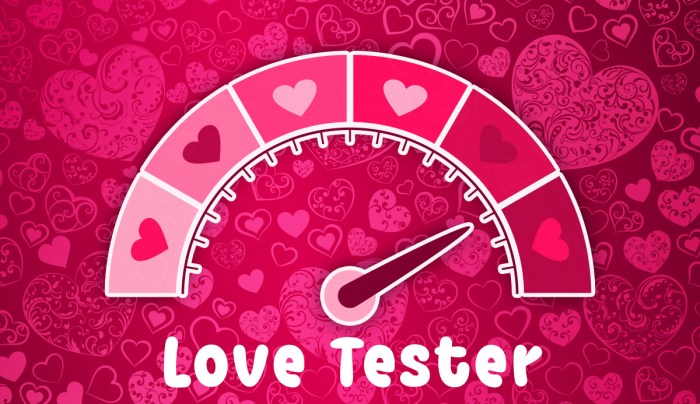 Love tester deluxe game shareware software comments